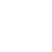 Braai